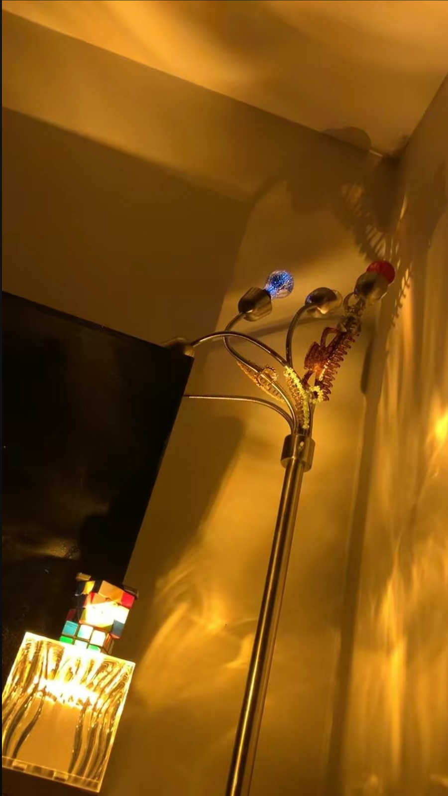 Coram customer photo